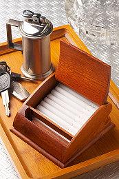 《Aviators》免费登陆Steam 波兰空军冒险新游